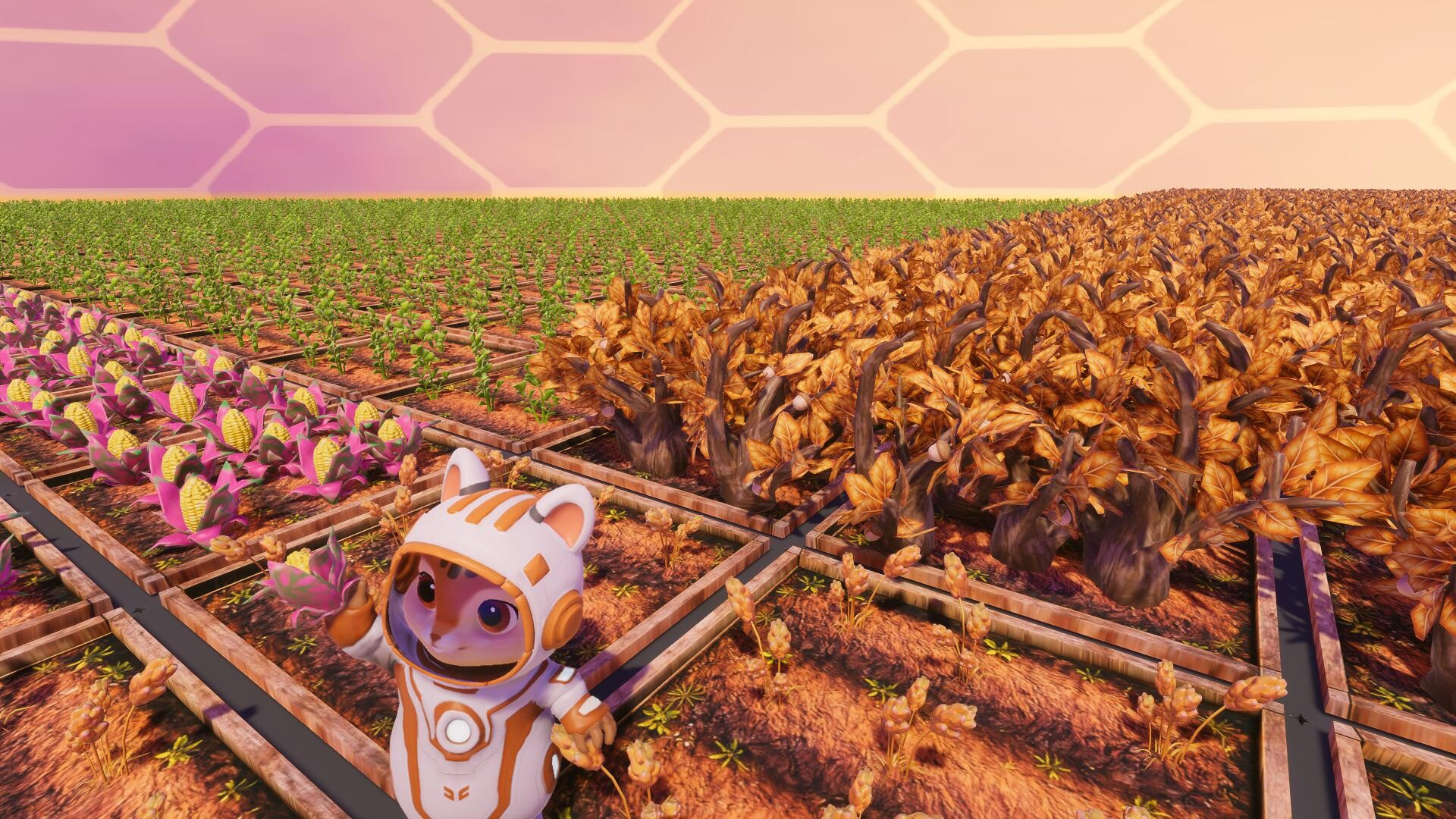 Space Daram screenshot #9