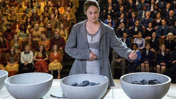 Divergent screenshot 5