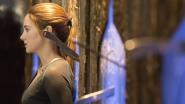 Divergent screenshot 4