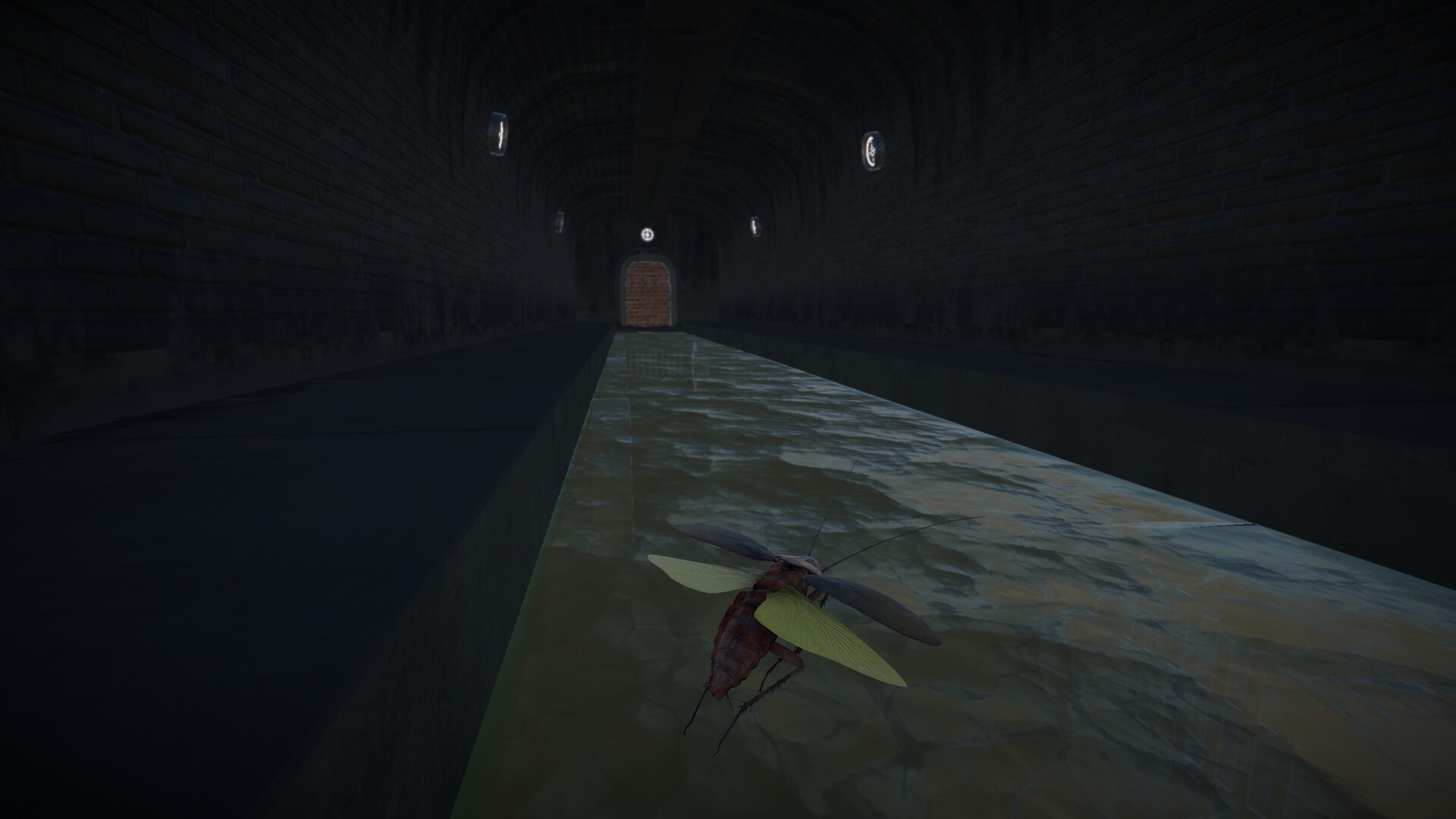 Life of a Cockroach screenshot 11
