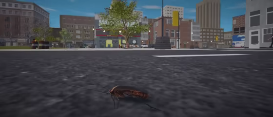 Life Of A Cockroach video 2