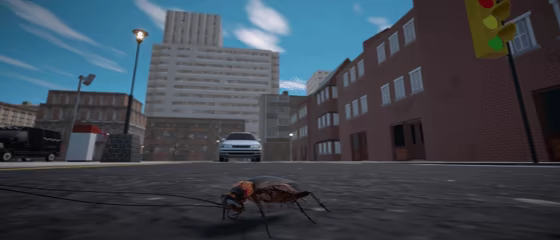 Life Of A Cockroach video 6