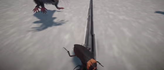 Life Of A Cockroach video 5