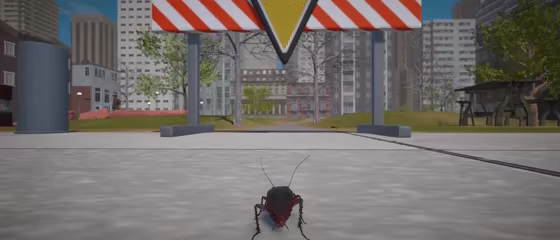 Life Of A Cockroach video 3