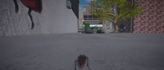 Life Of A Cockroach video 1