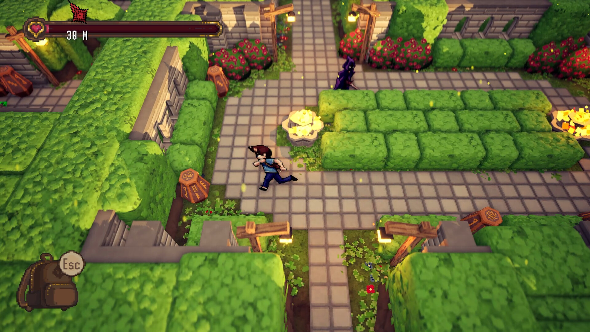 Master of the Maze screenshot #8