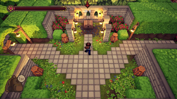 Master of the Maze screenshot 1