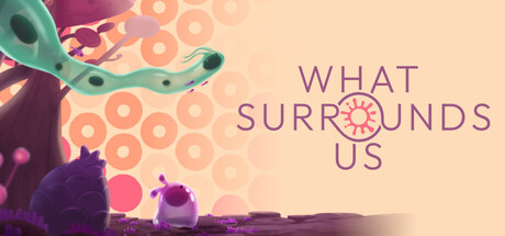 What Surrounds Us