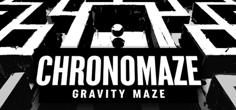 Chronomaze: Gravity Maze
