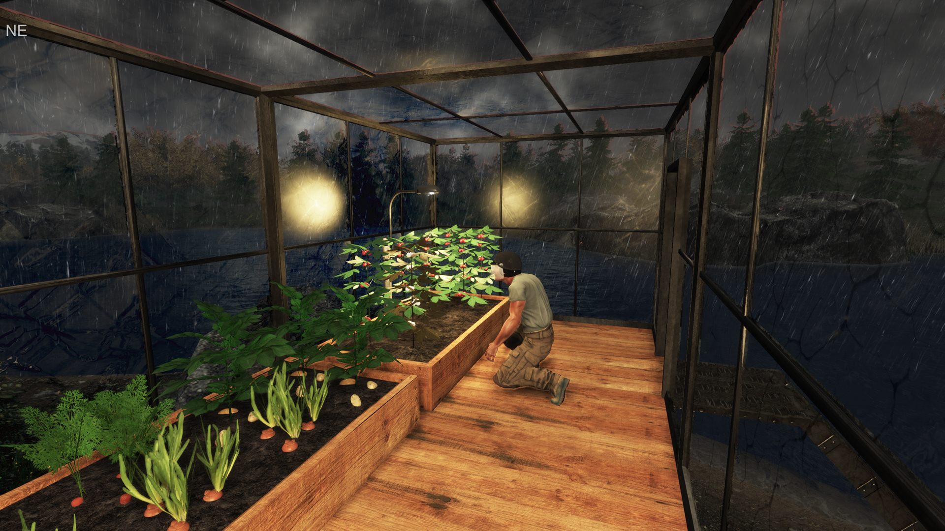 screenshot of Subsistence 31