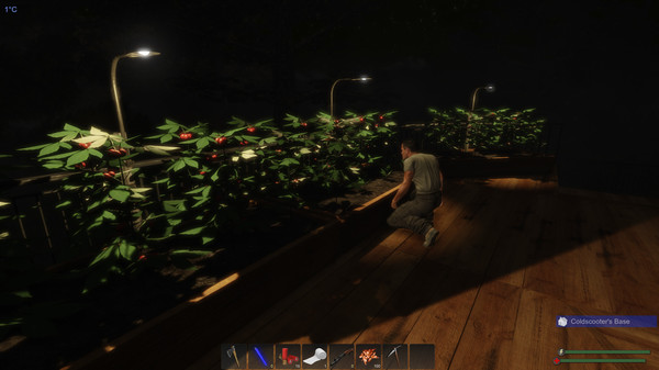 Screenshot z Subsistence