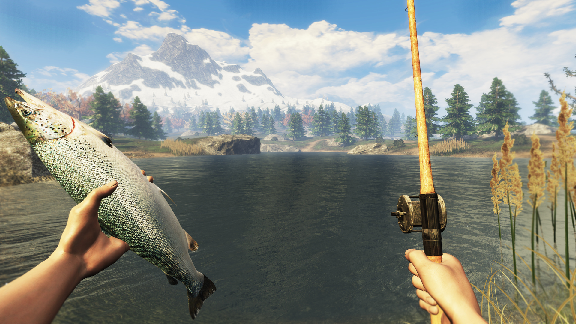 screenshot of Subsistence 18