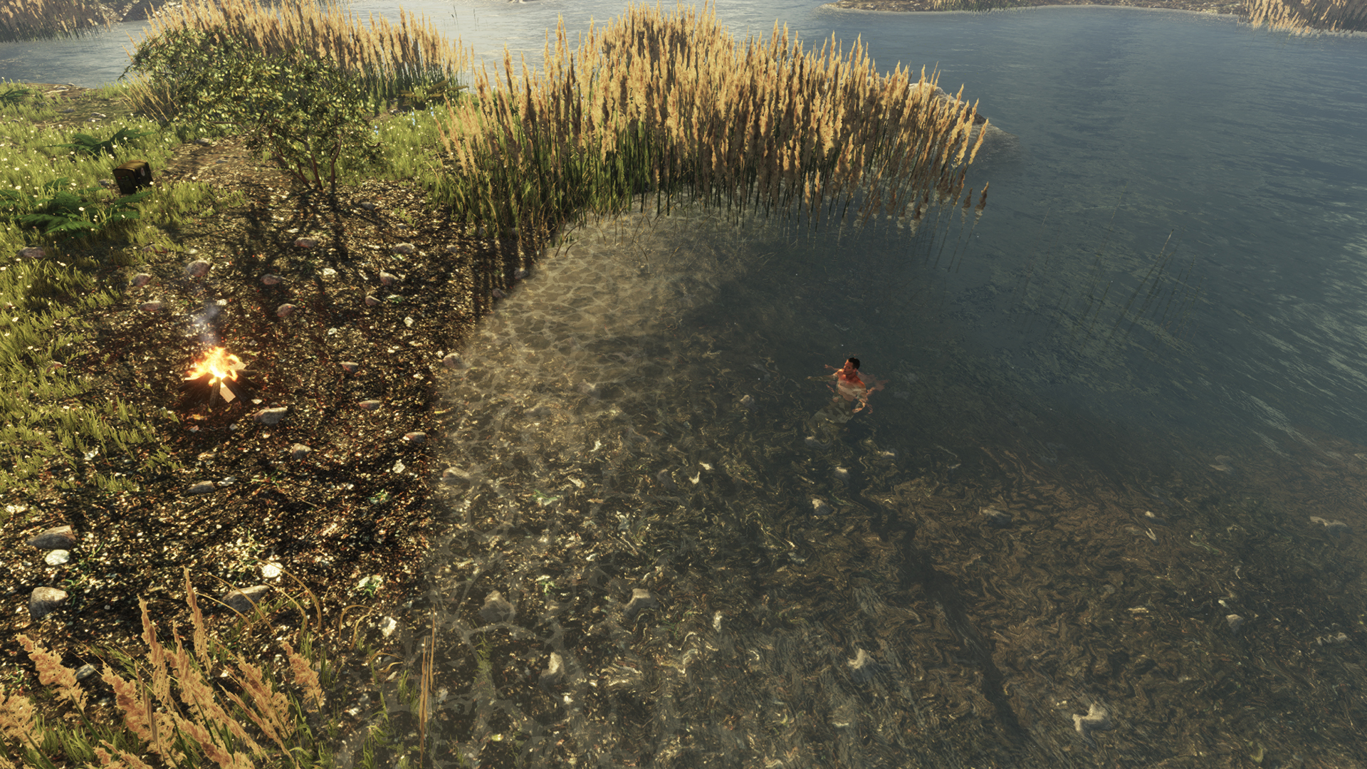 screenshot of Subsistence 38