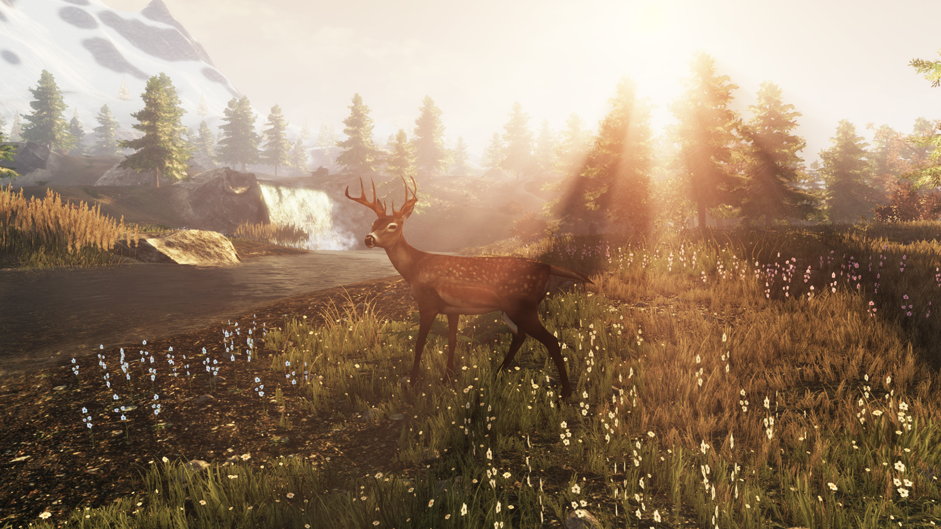 screenshot of Subsistence 23