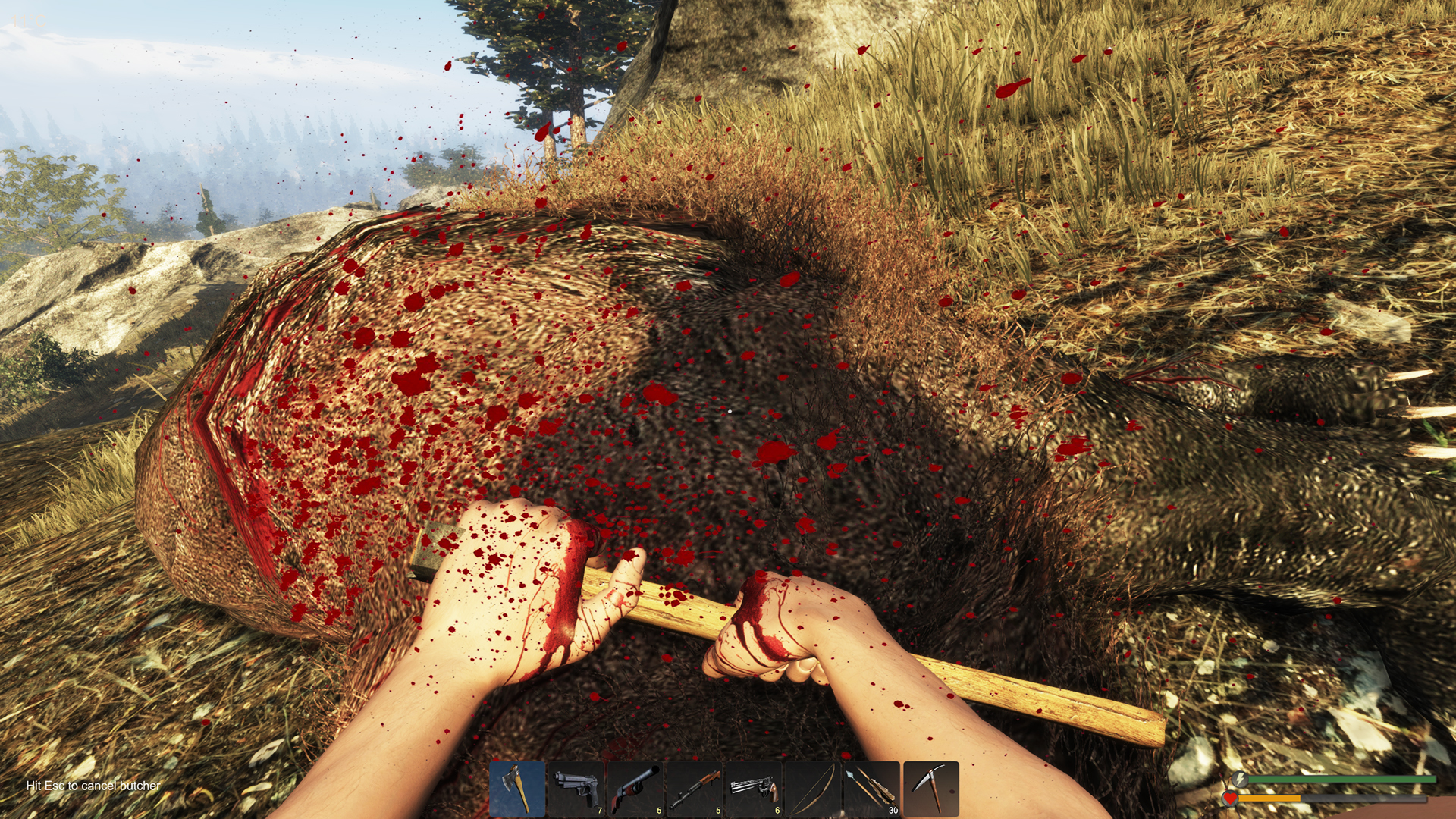 screenshot of Subsistence 41