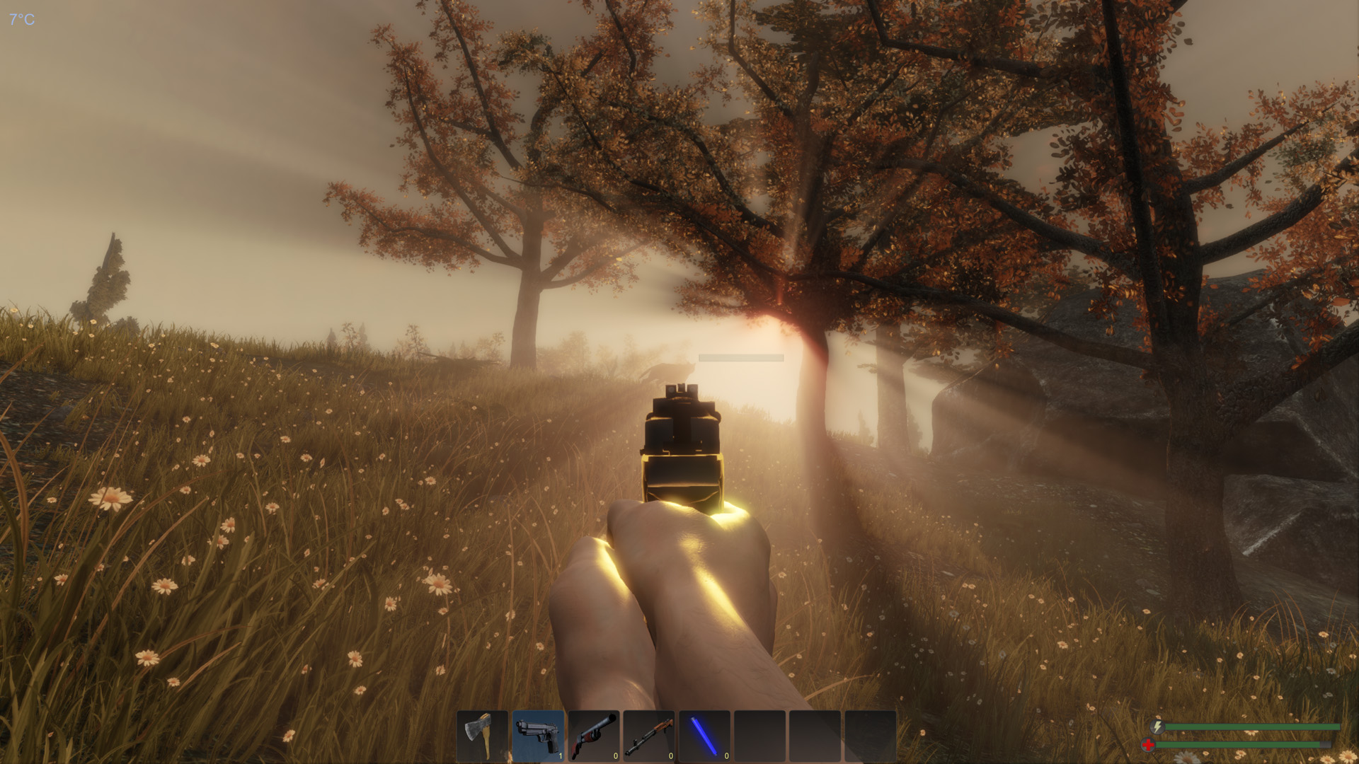 screenshot of Subsistence 10