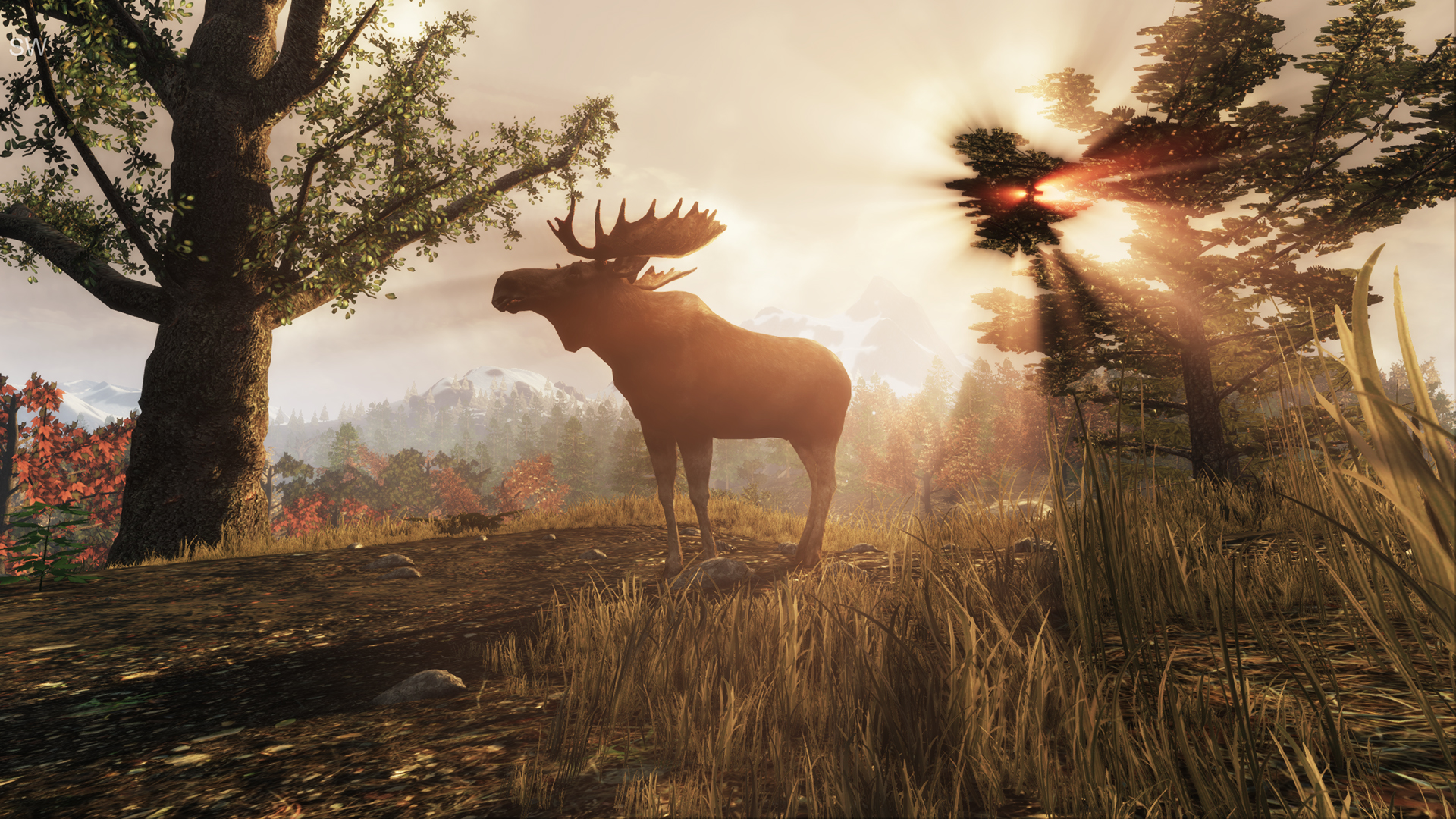 screenshot of Subsistence 11