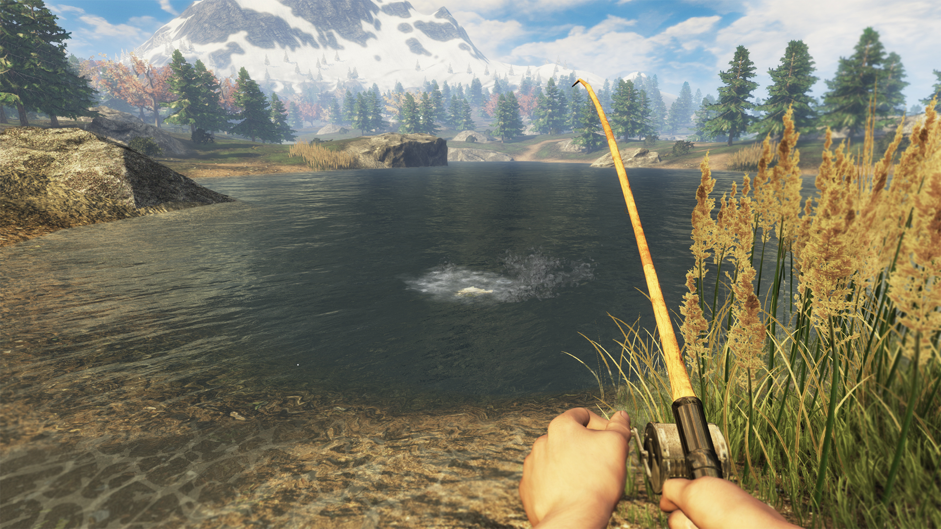 screenshot of Subsistence 17