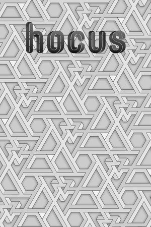Cover art of hocus