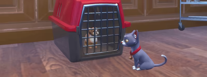 Mice Crisis video 8