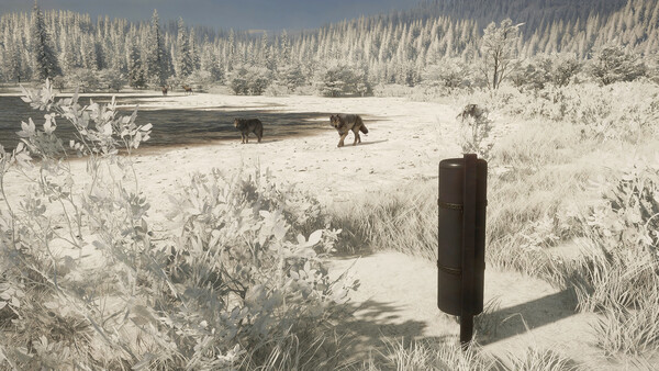 theHunter: Call of the Wild™ - Game Feeder Pack 2