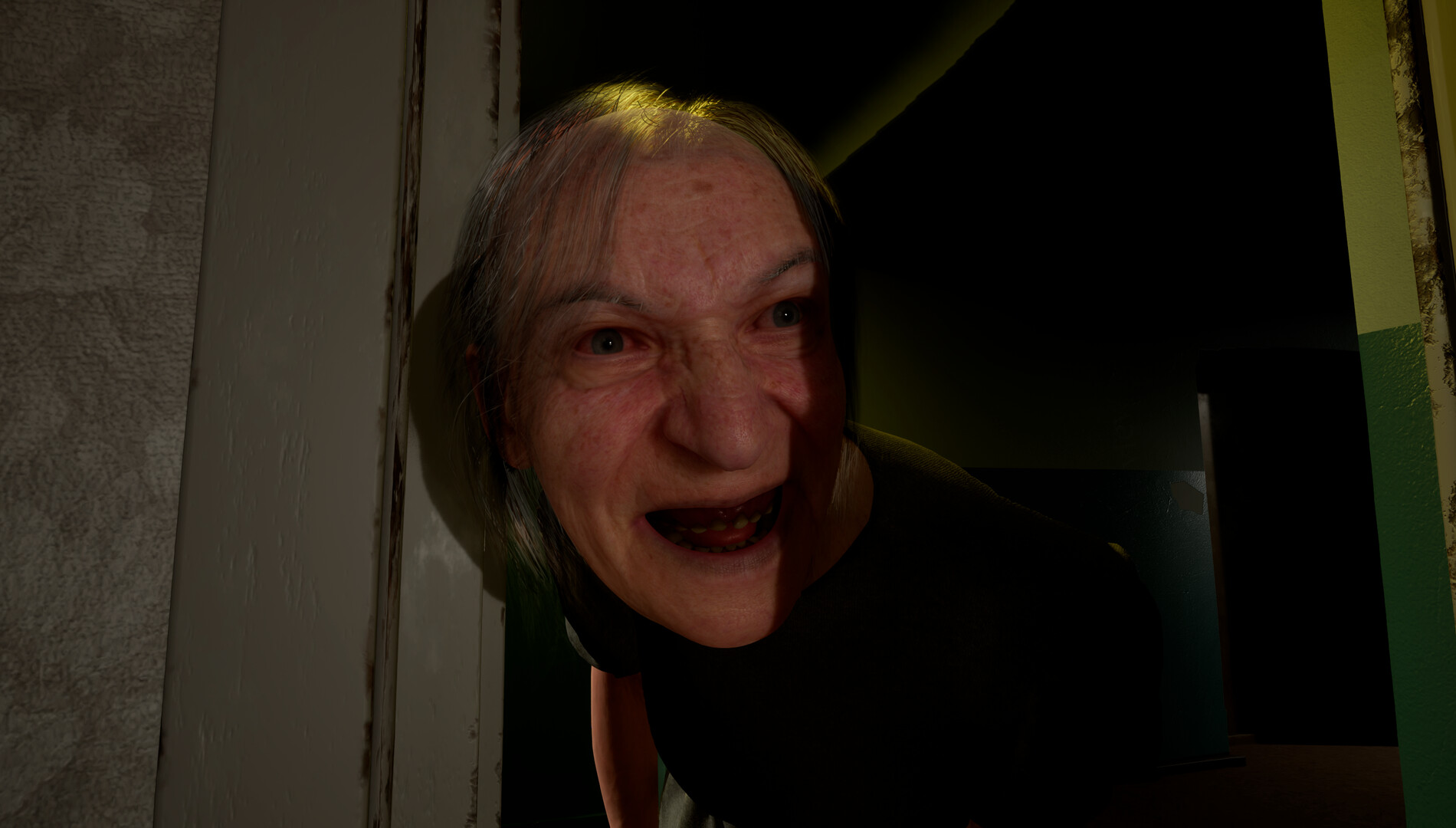 DORM screenshot #3