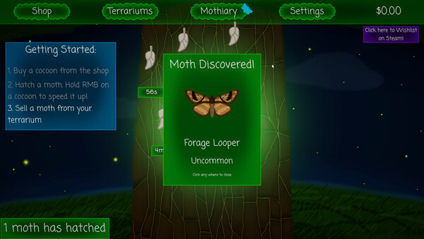 Mothiary