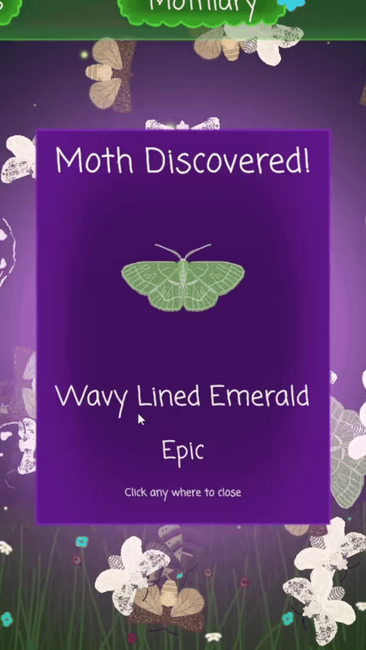 Mothiary video 3