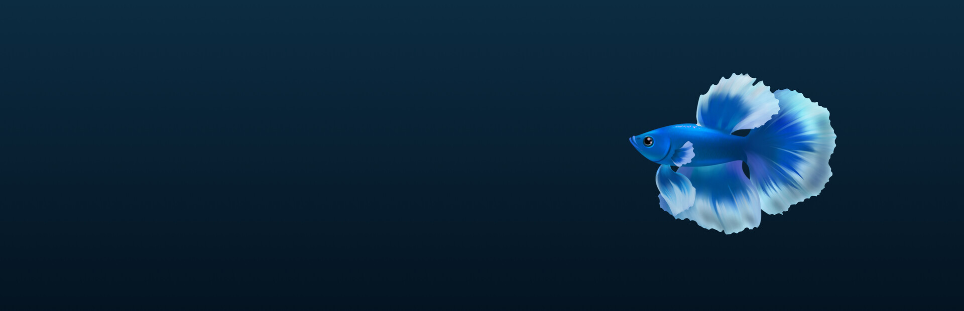 The Fish Corner