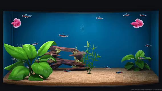 The Fish Corner video 1