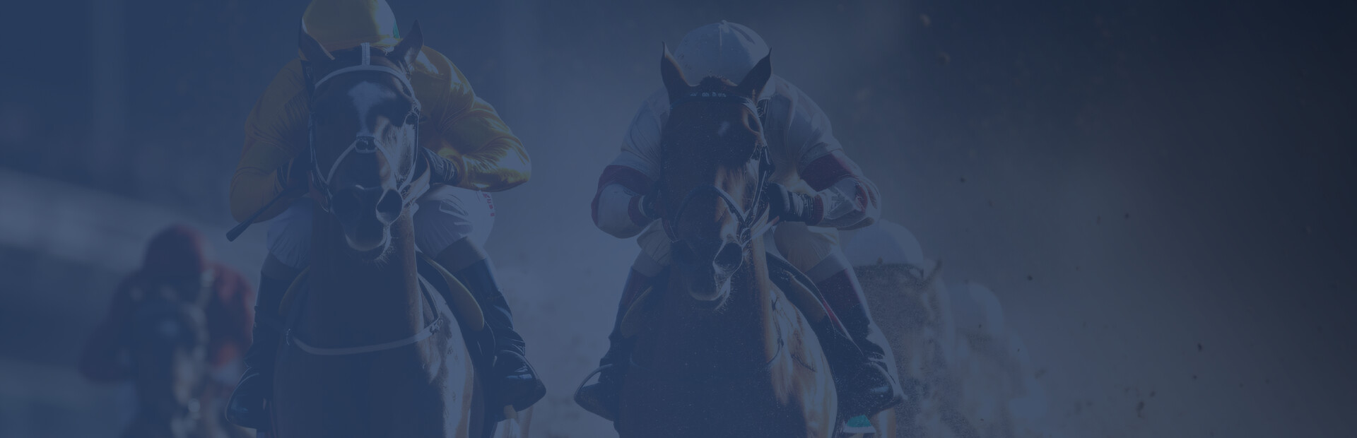 Golden Stables - Horse Racing