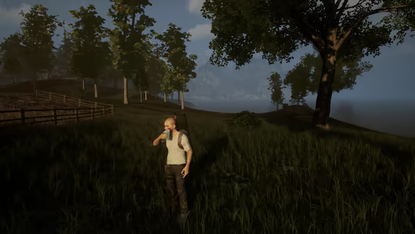 Lifeless video 8