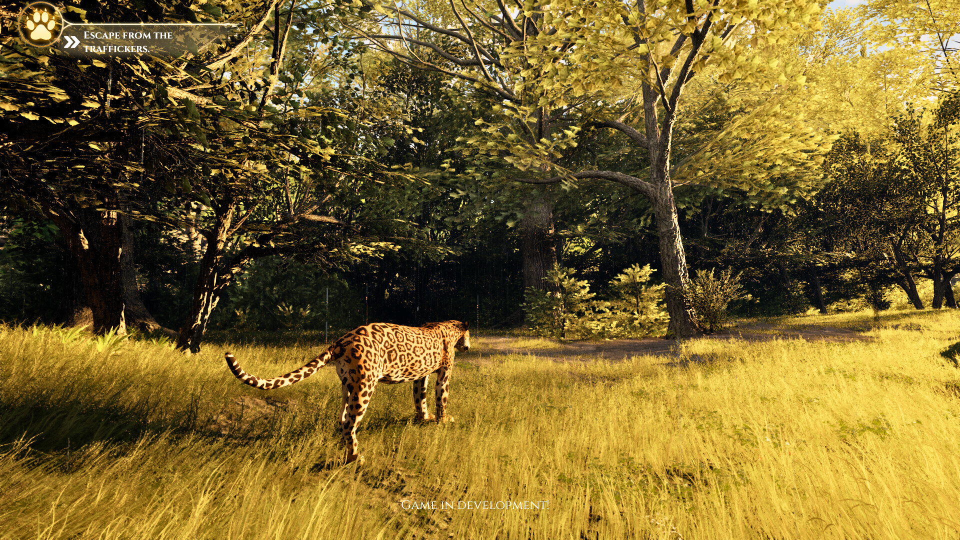 Yaguareté: The Game screenshot #5