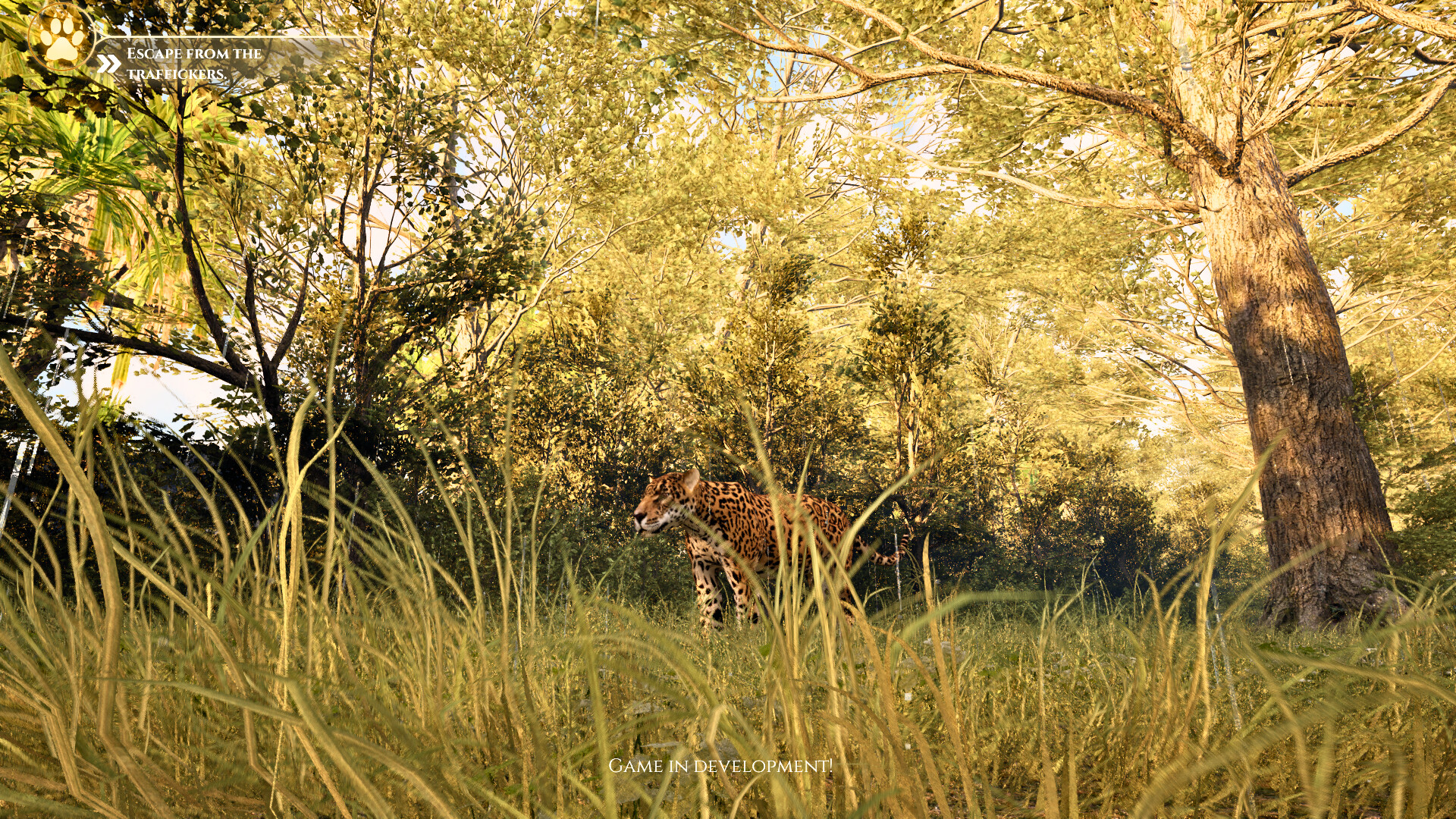 Yaguareté: The Game screenshot #4