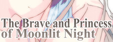 The Brave and Princess of Moonlit Night Banner