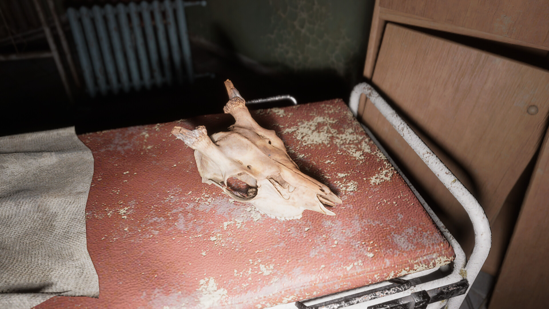 Shadows Show screenshot #8