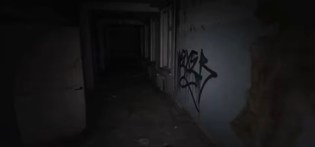Shadows Show video 1