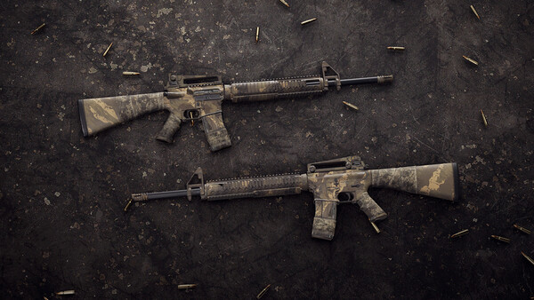Insurgency: Sandstorm - Endurance Weapon Skin Set