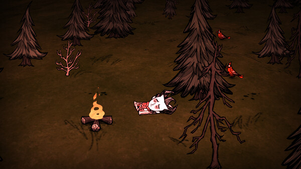 Don't Starve Together: Starter Pack 2026