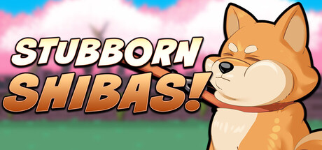 Stubborn Shibas