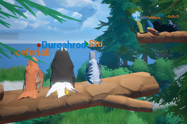 Bird Game 3 video 4