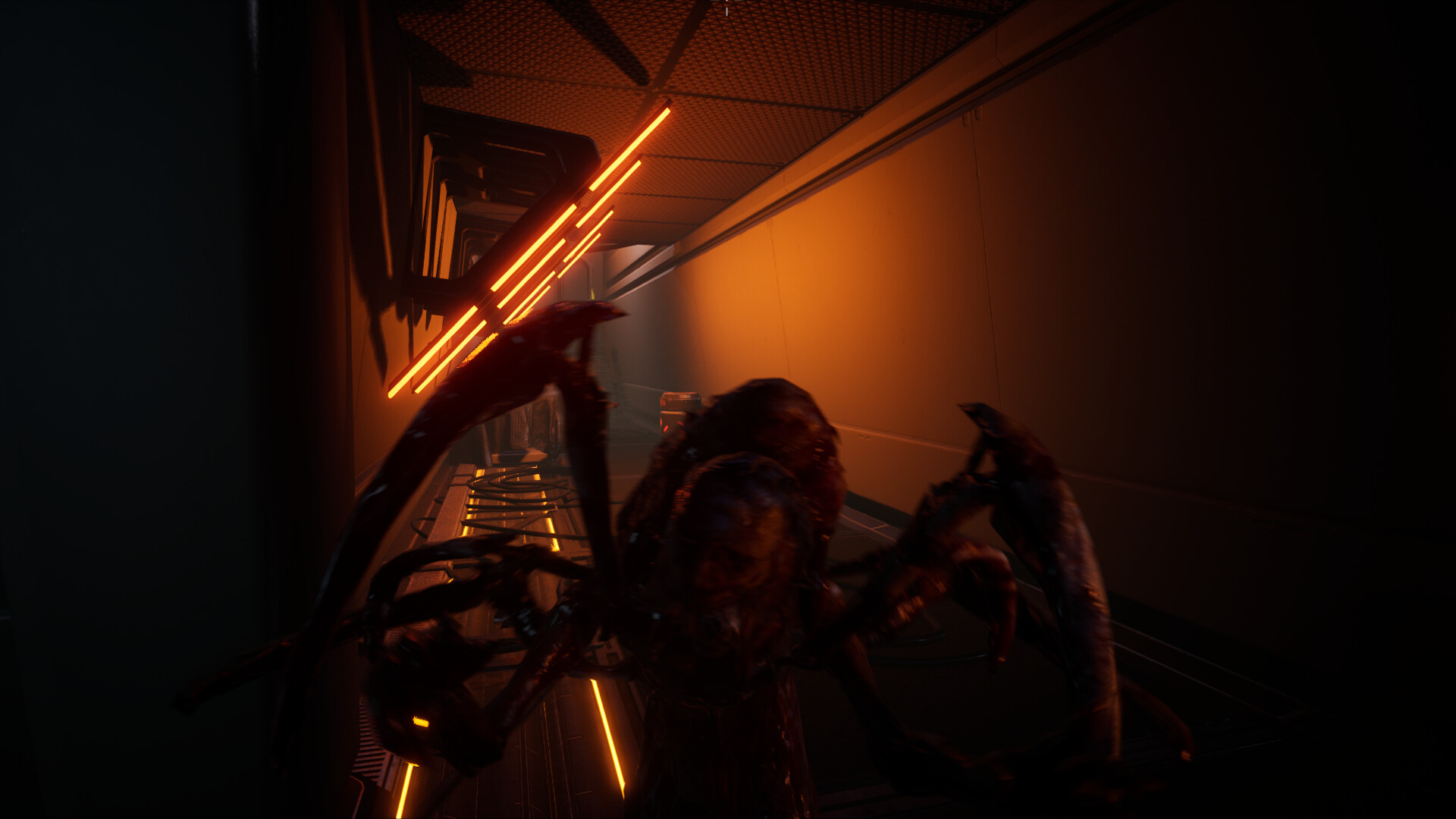 SCICRY screenshot #7