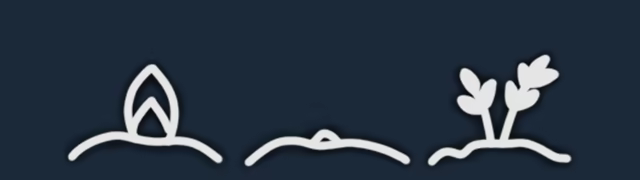 Feed Me video 4
