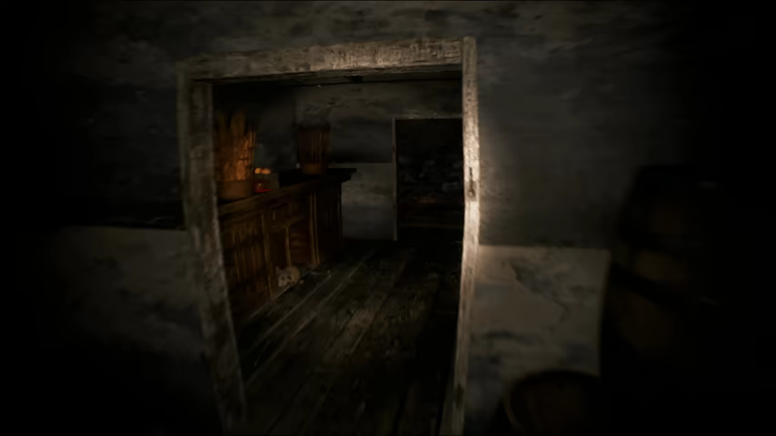 SILVARN video 2