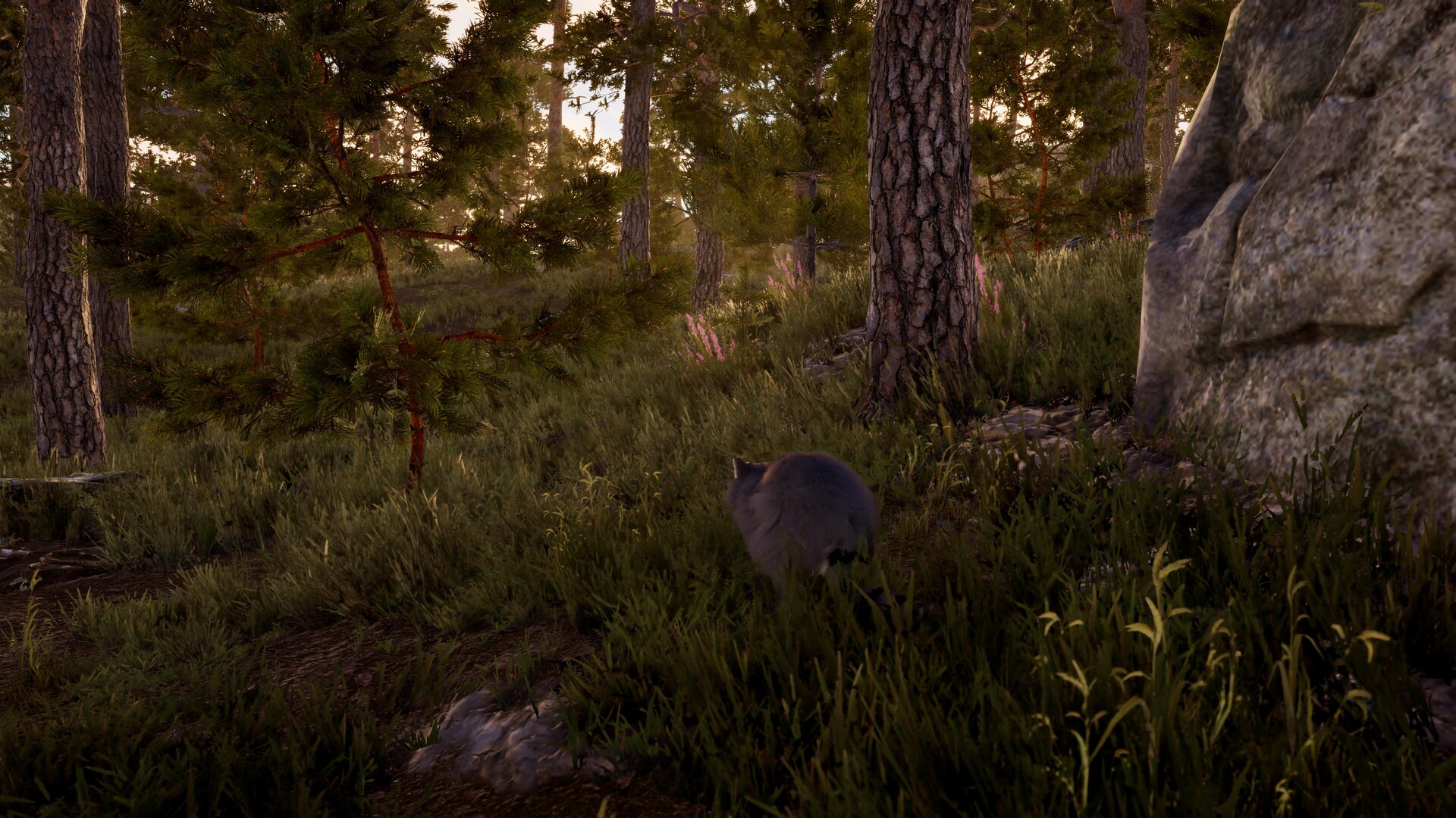 The lost trail screenshot 8