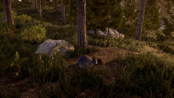 Screenshot media