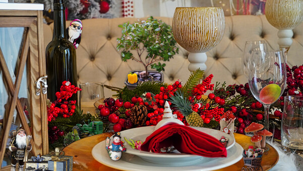 Look and Find - Christmas