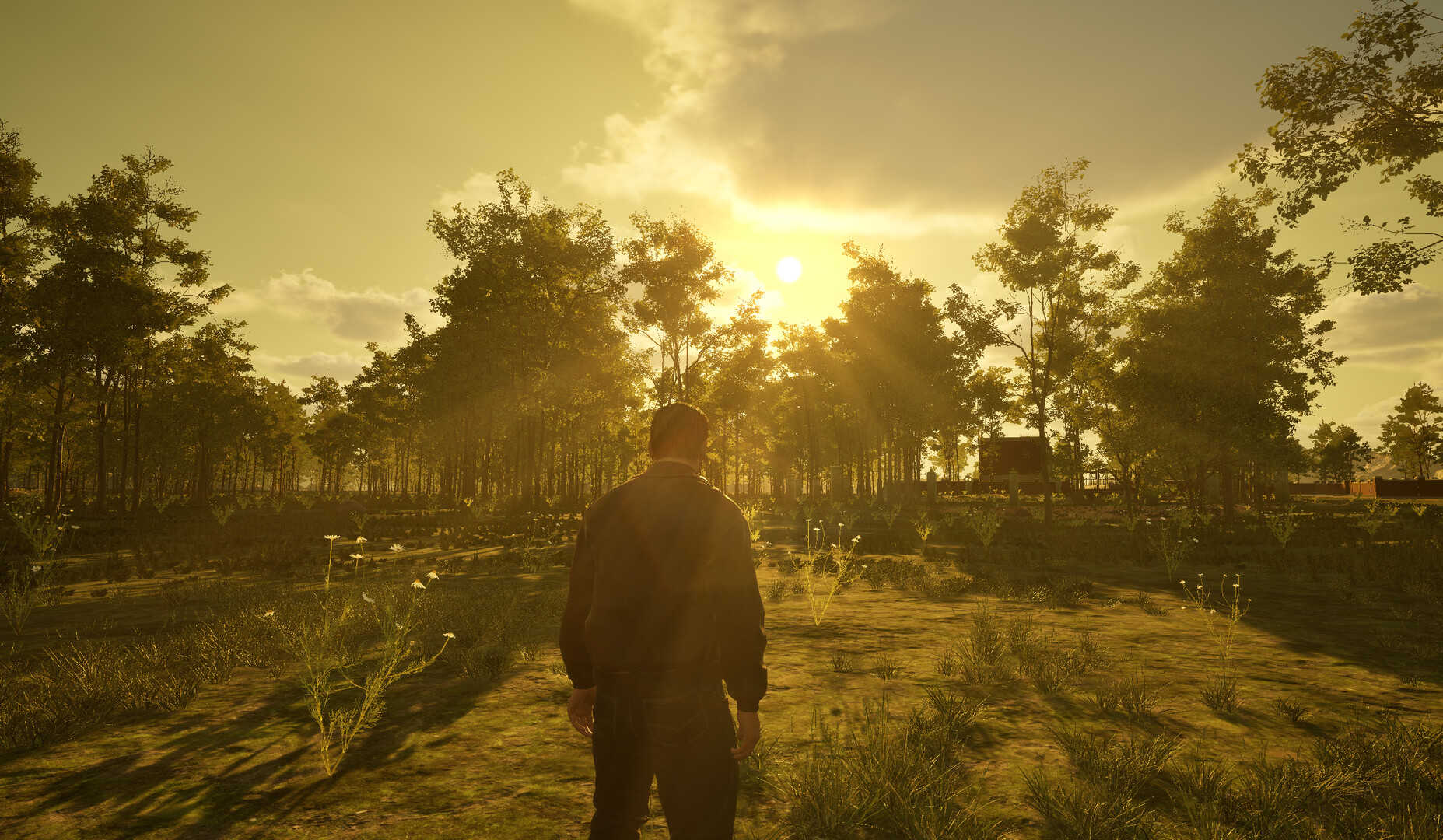 Island of the Missing screenshot #4