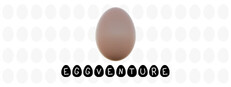 Eggventure Banner