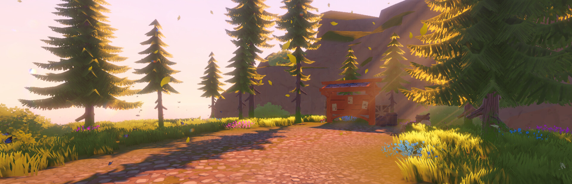Wander